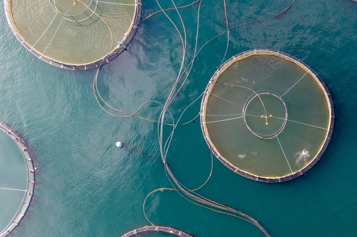 aerial view of a fish farm