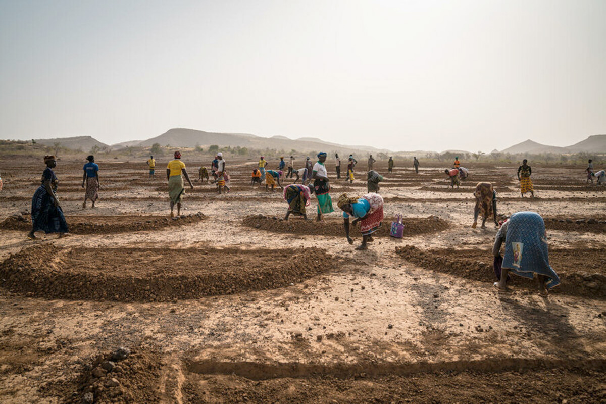 A group of mostly women dig half-mood shapes in the soil.