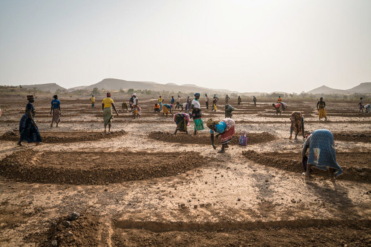 A group of mostly women dig half-mood shapes in the soil.