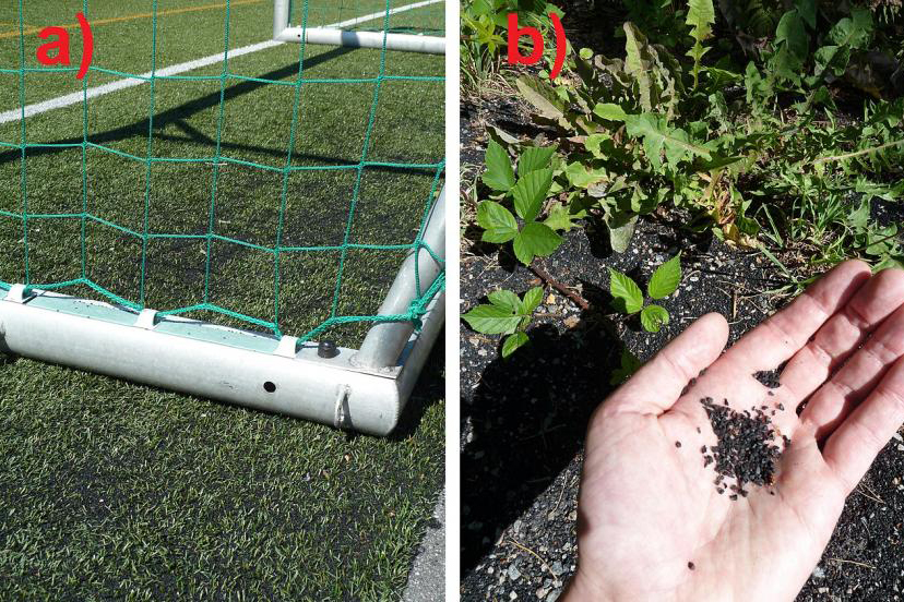 On the left: Artificial turf football field with ground tyre rubber used for cushioning. On the right: Microplastics from the same field, washed away by rain.