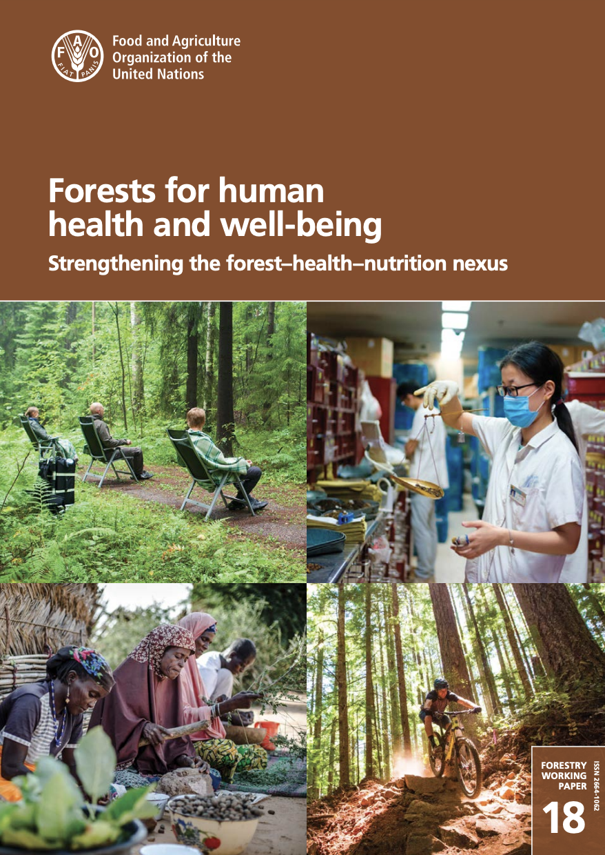 FAO report cover titled: Forests for human health and well-being - Strengthening the forest–health–nutrition nexus