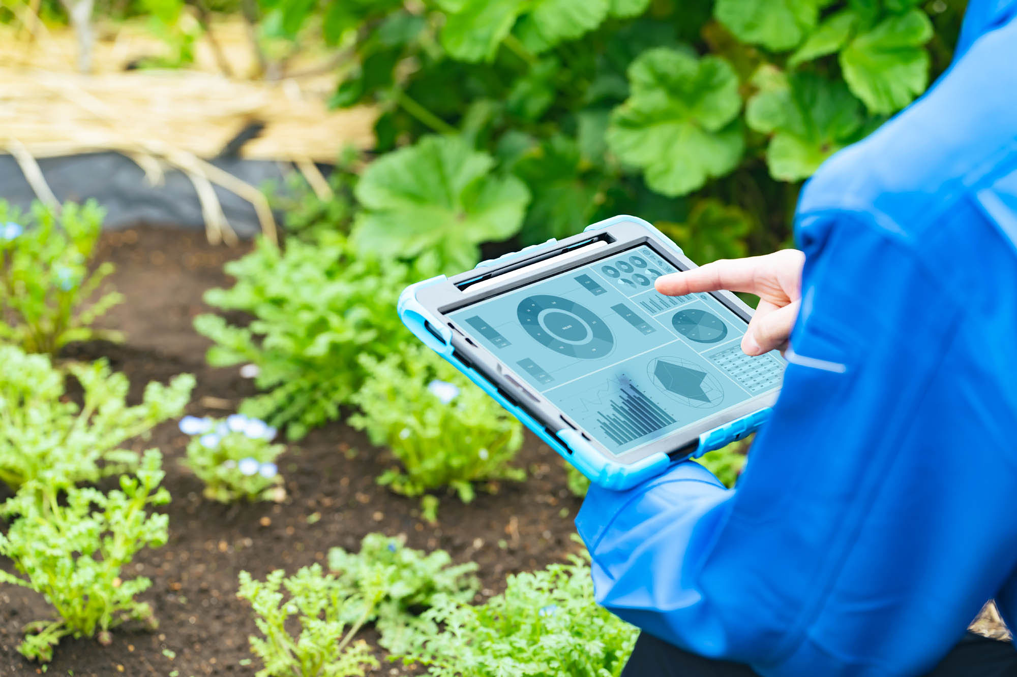 Farmer looking at a tablet in the field.