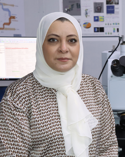 Portrait of Dr. Gihan Kamel