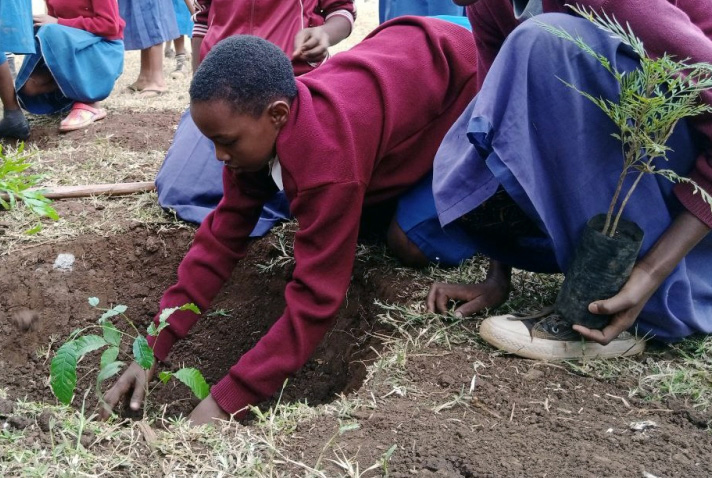 Image de jeunes filles plantant des arbres.