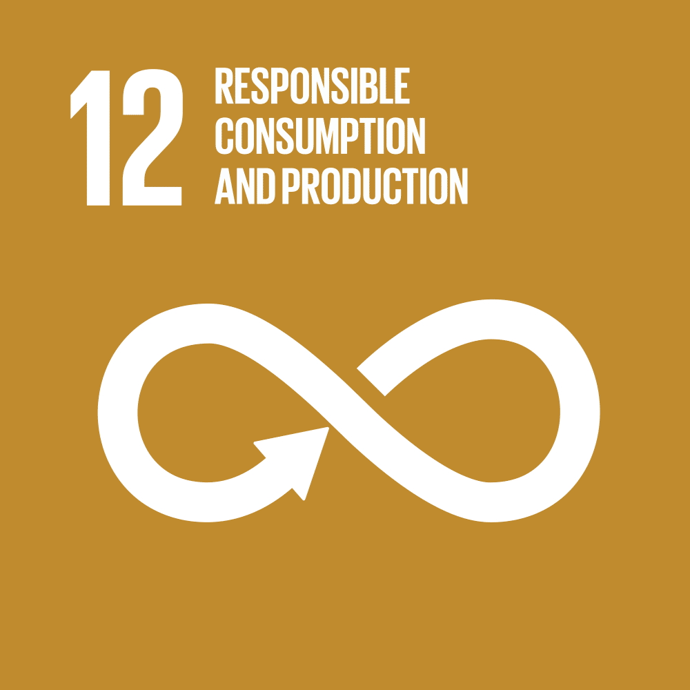Goal 12, Responsible and consumption and Production, written in different languages