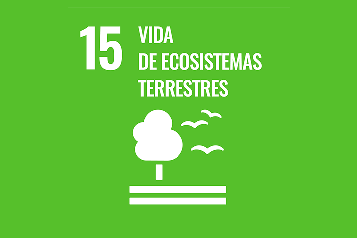 Logo del Objetivo de Desarrollo Sostenible 15: Vida de ecosistemas terrestres.