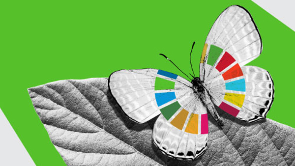 Gráfico de una mariposa, con el logo de los Objetivos de Desarrollo Sostenible en las alas, sobre una hoja. 