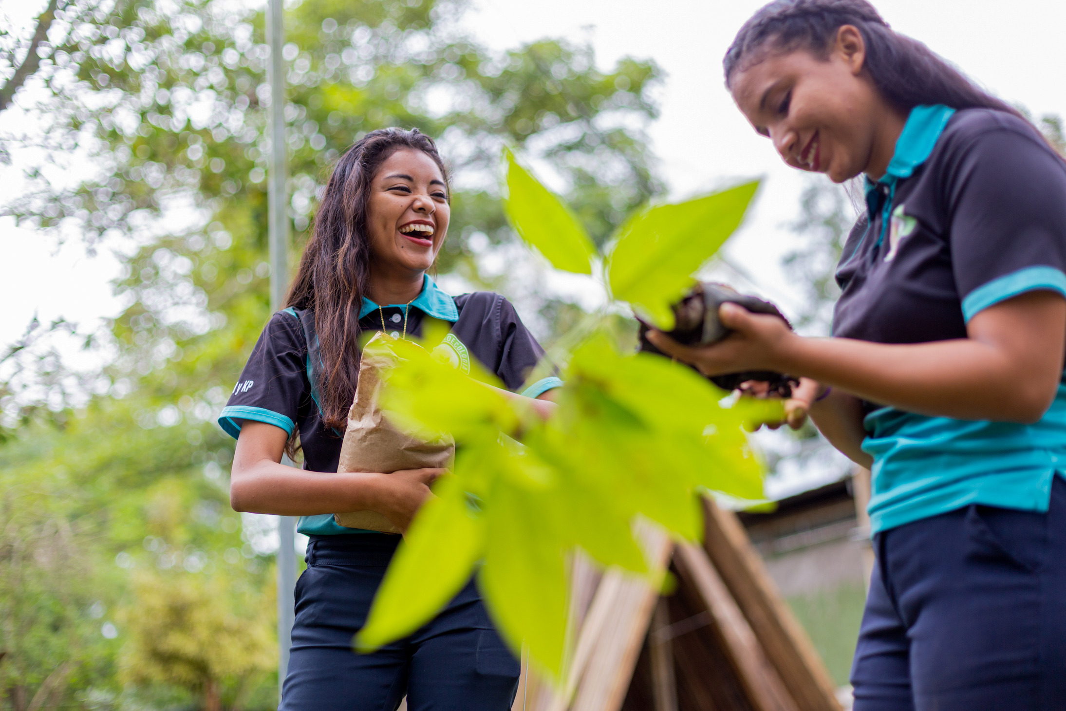 A photograph showing two smiling young people planting trees