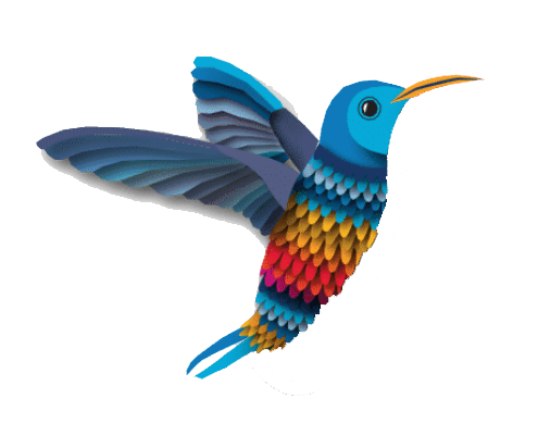Ilustración de un colibrí