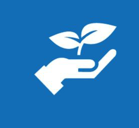 hand holding a leaf