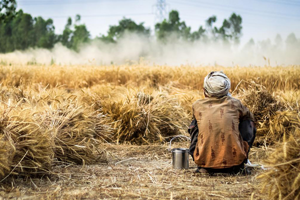 Back of a man squatting in a dry field