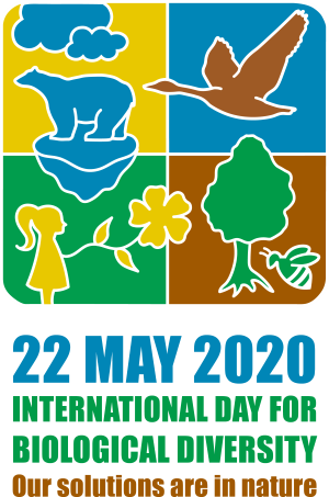 Logo for the theme 2020