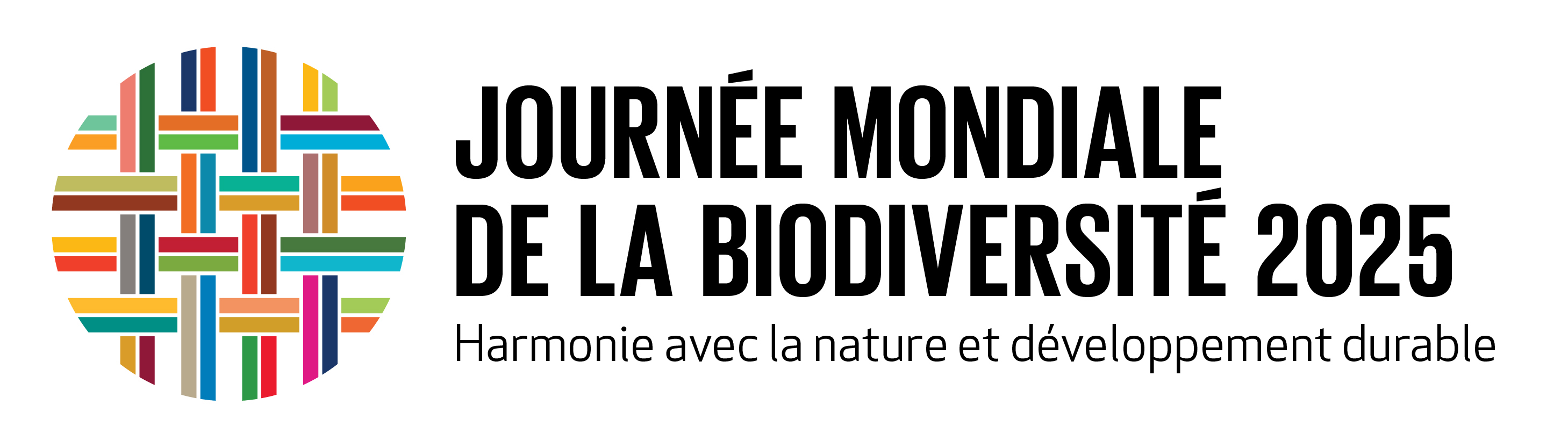 Logo officiel de la Journée 2025 avec le slogan Journée mondiale de la biodiversité 2025 : Harmonie avec la nature et développement durable