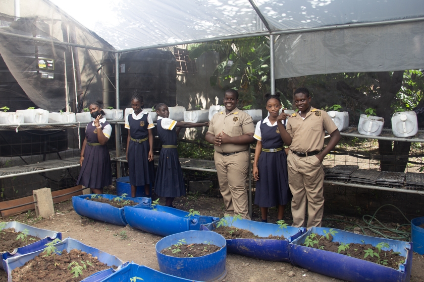 En el Kingston Technical High School, el denominado huerto en contenedores permite cultivar plantas en macetas, cajas, barriles u otro tipo de recipientes, en lugar de hacerlo directamente en el suelo. Foto tomada por Irati Durban Aguinagalde Grupo de estudiantes sonríen en un vivero