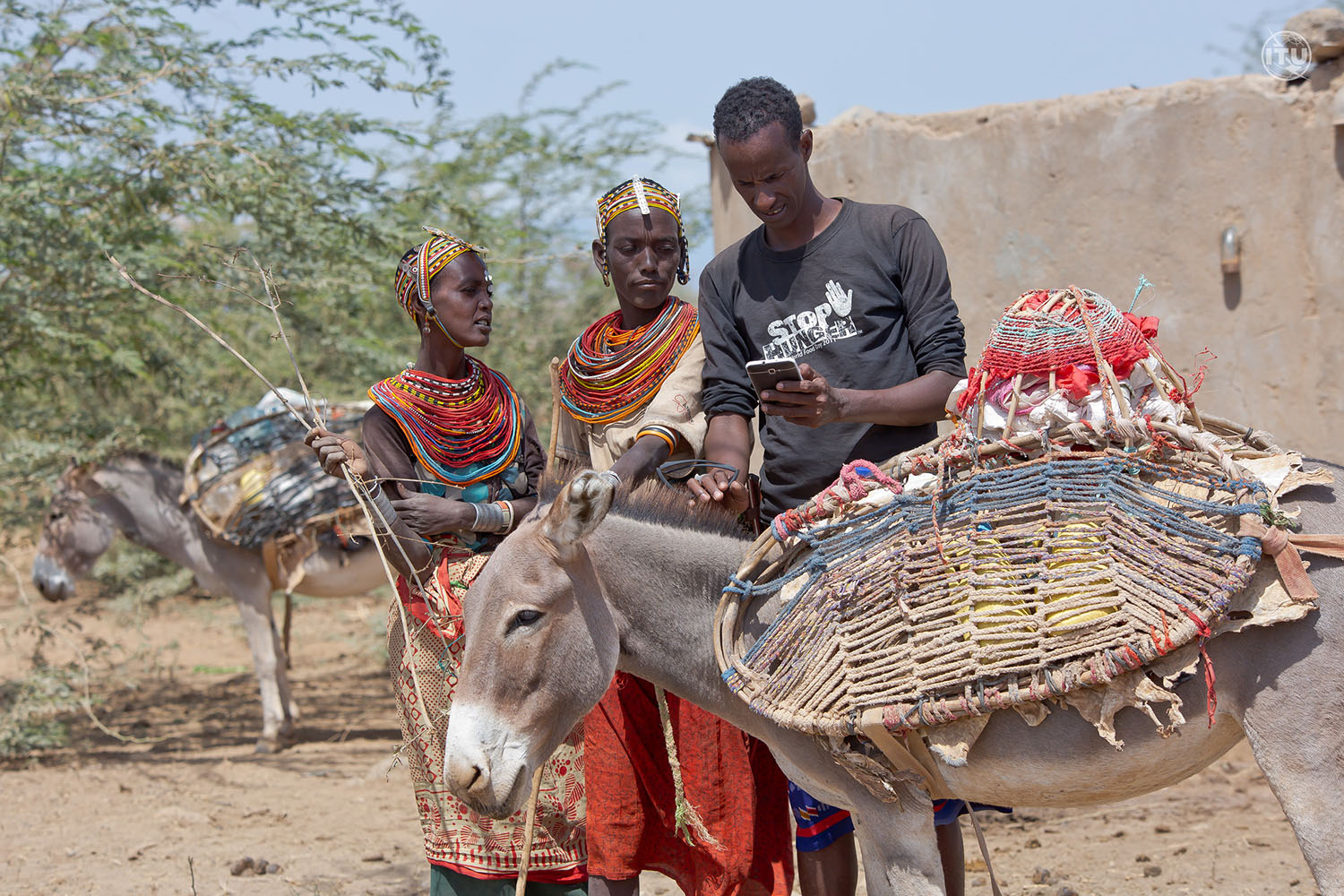 pastoralists using mobile app