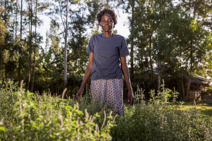 Marida Shinzai and her neighbours formed Muliru Farmers’ Cooperative group to manage and protect Kakamega, which is the only rainforest in Kenya.