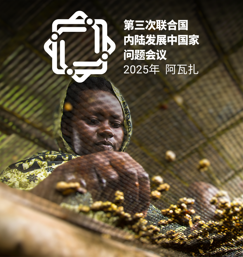 链接:第三届联合国内陆发展中国家问题会议官网 第三次联合国内陆发展中国家问题会议宣传画