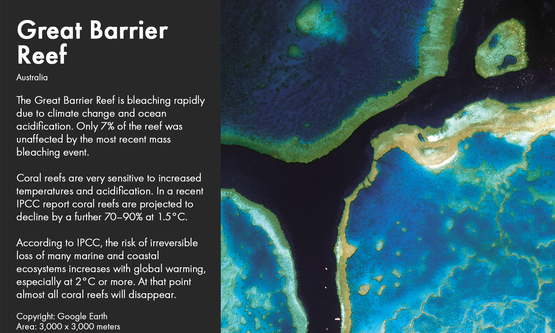 Great Barrier Reef​, Australia 