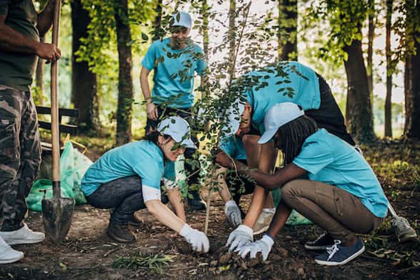 A group of young people planting a tree