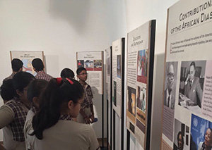 Indian students learn about contributions of the African diaspora (UNIC New Delhi) 