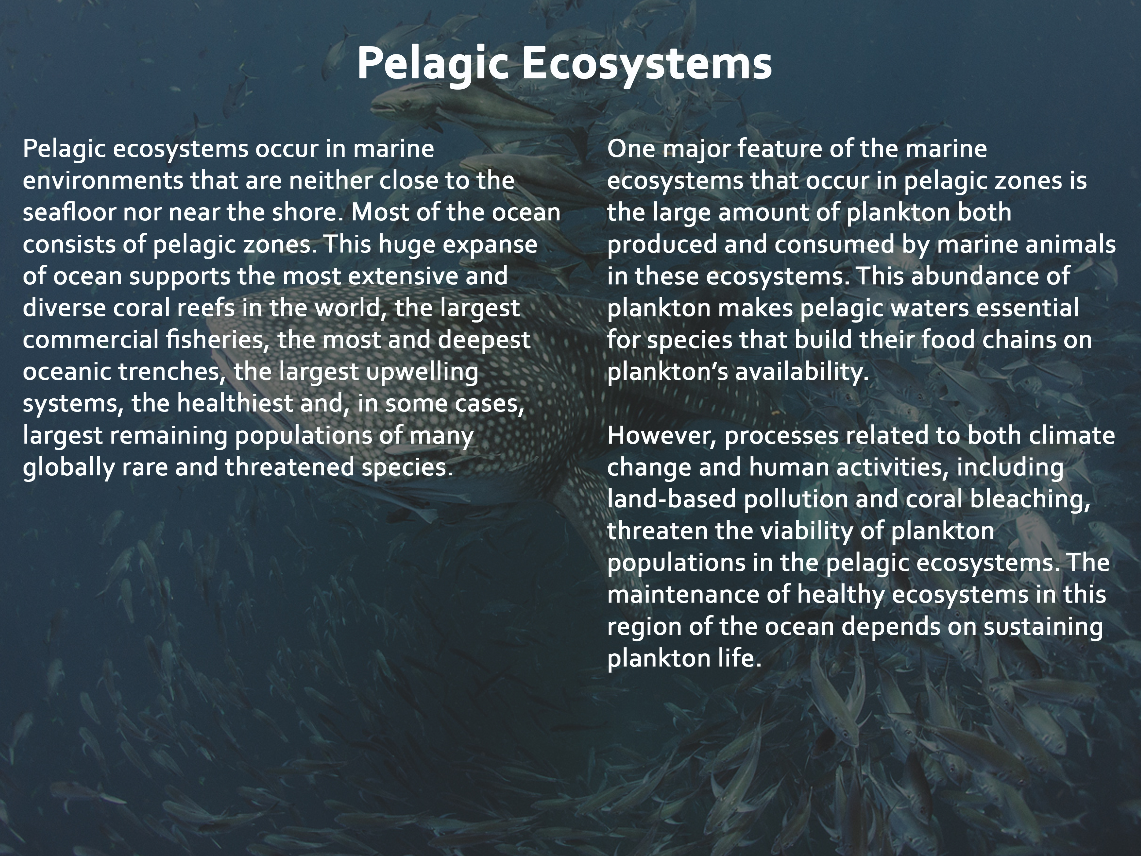 Pelagic Ecosystems