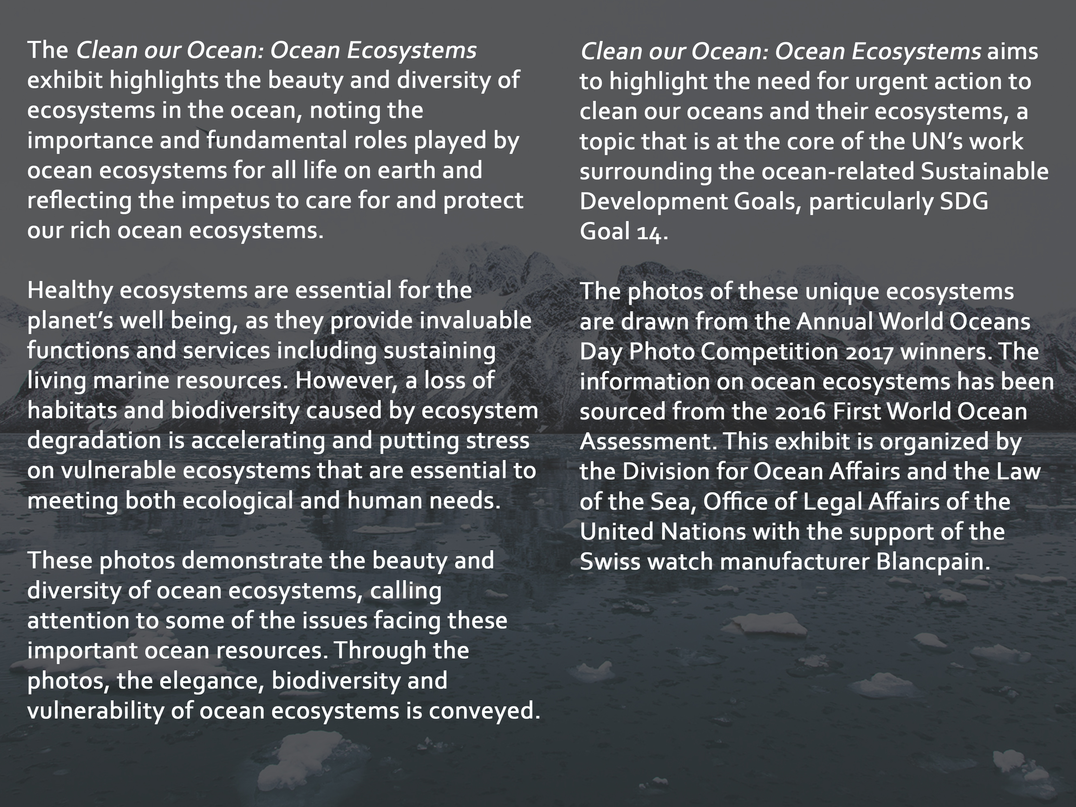 The Clean our Ocean: Ocean Ecosystems  exhibit highlights the beauty and diversity of ecosystems in the ocean