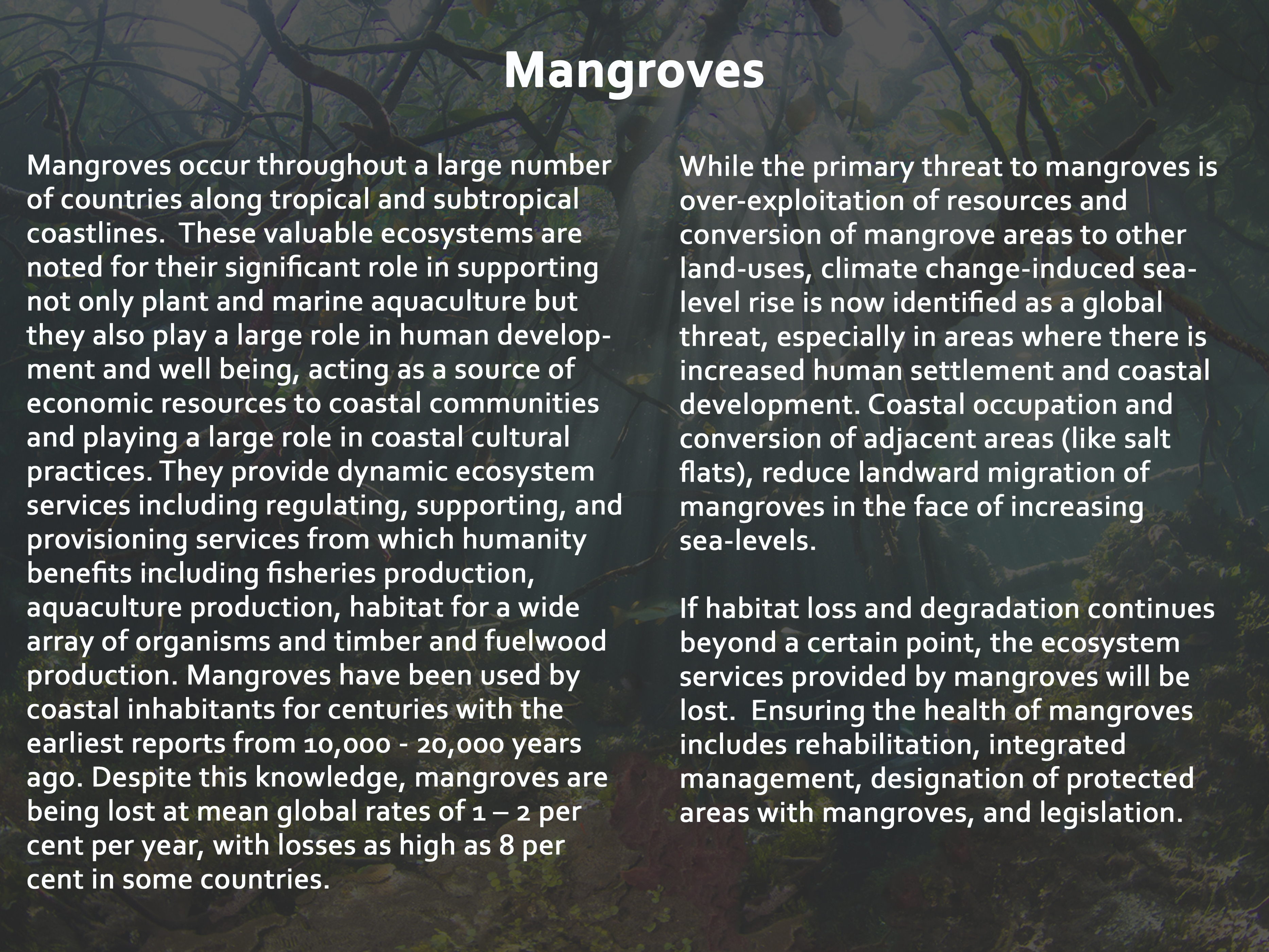 Mangroves​