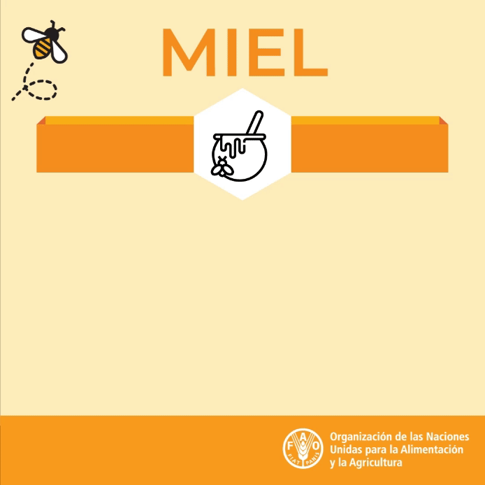 Día Mundial de las Abejas