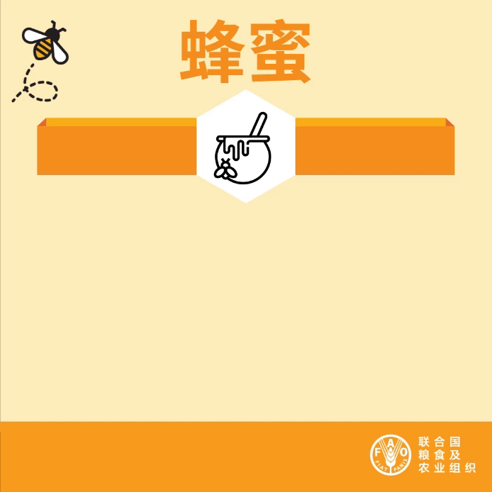 gif动画:生产1公斤蜂蜜需要100万朵花和5万次蜜蜂飞行。