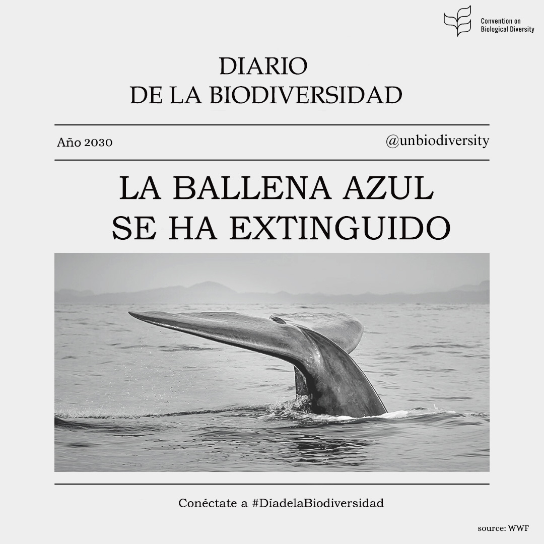 Simulación de un periódico sobre biodiversidad en el que se anuncia la extinción de la ballena