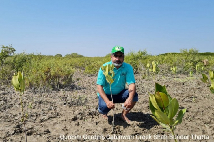 Un homme se tient au milieu des mangroves