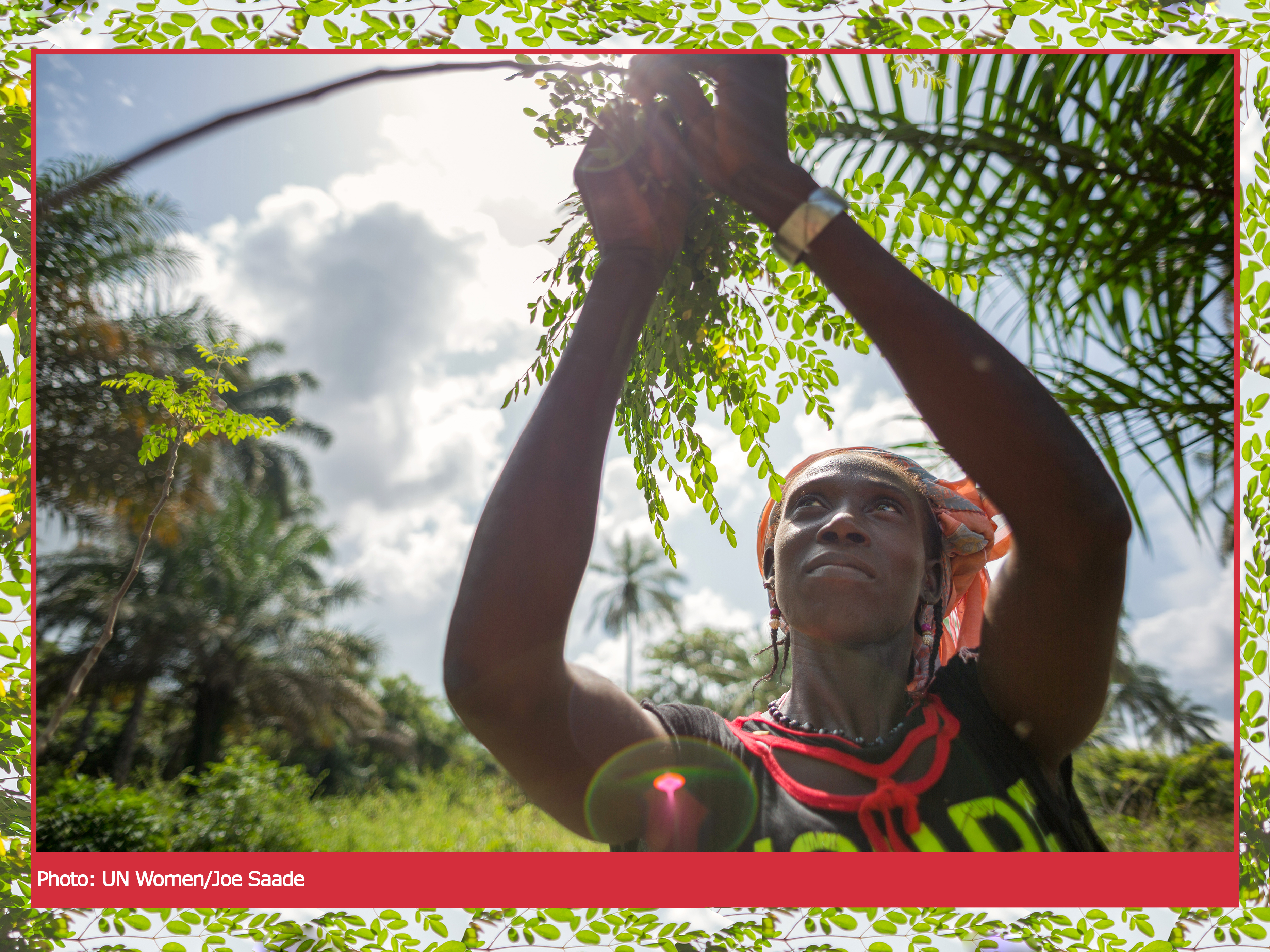 A woman picking some leaves