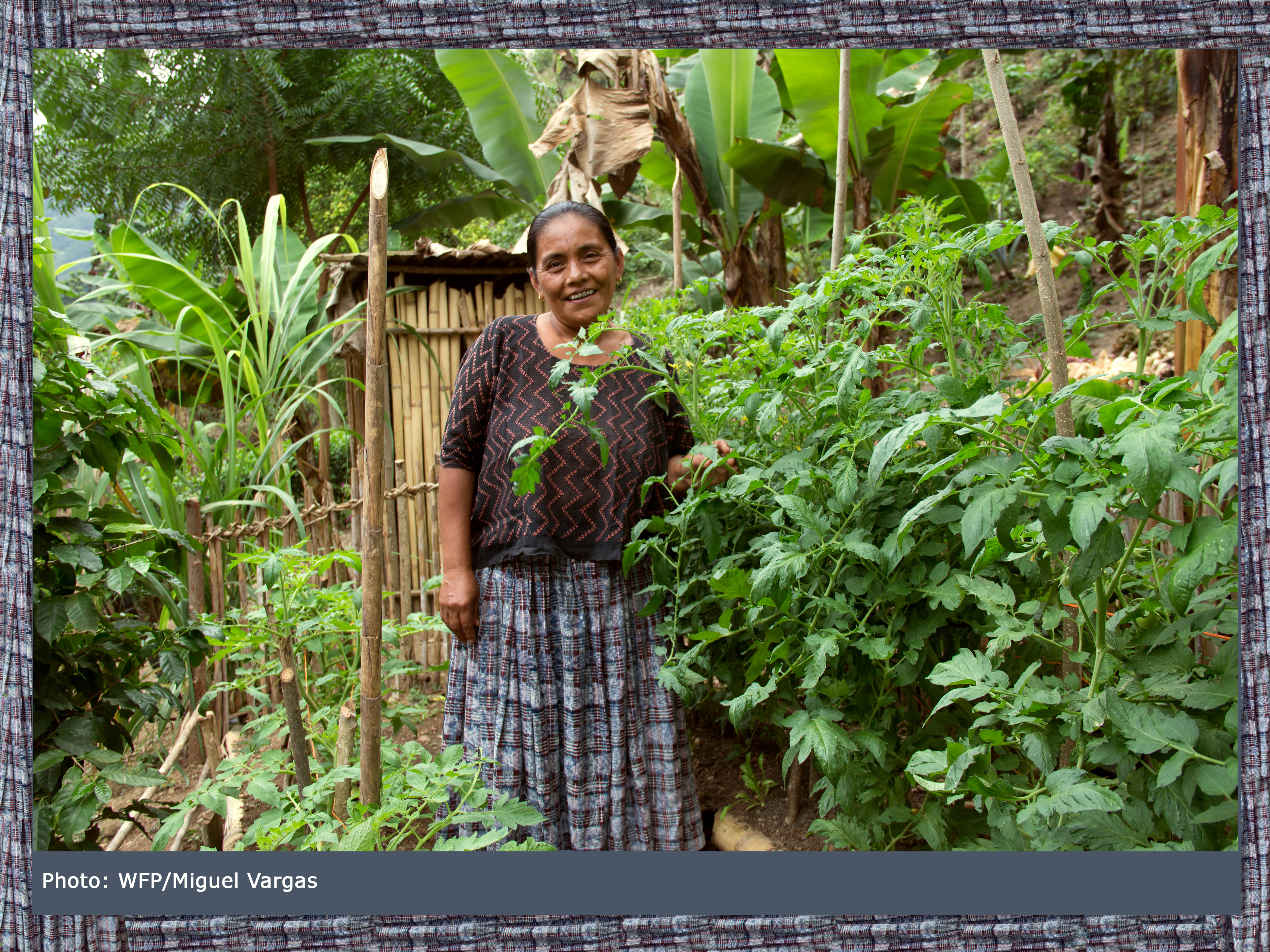 Maria Quej San de Moran, smiles watching her garden grow in her village in Guatemala. 