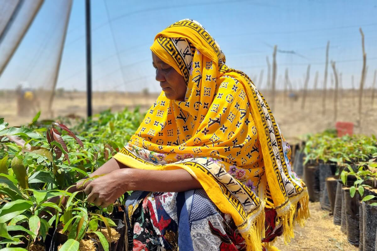 woman kneels by a row of plants