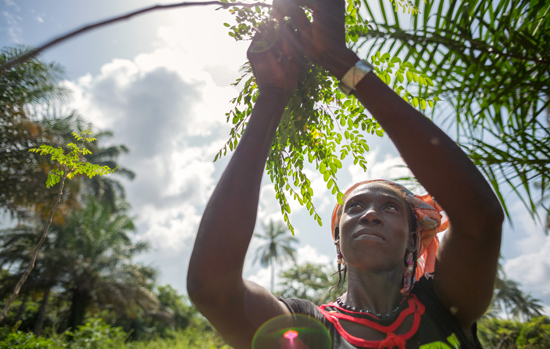 Rural Women, Human Rights teaser