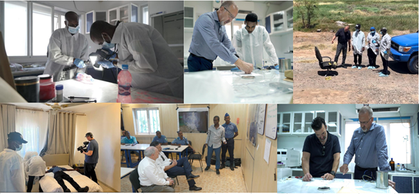 collage of photos of people doing training