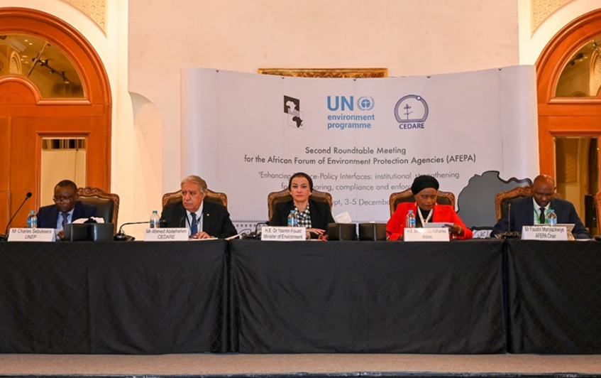 panelists at the head table with a projection behind and round tables in front of them