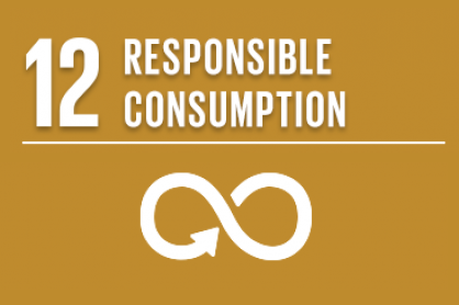 SDG 12: Sustainable consumption and production