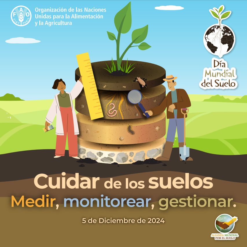 Póster del Día Mundial del Suelo Póster oficial del Día Mundial del Suelo 2024