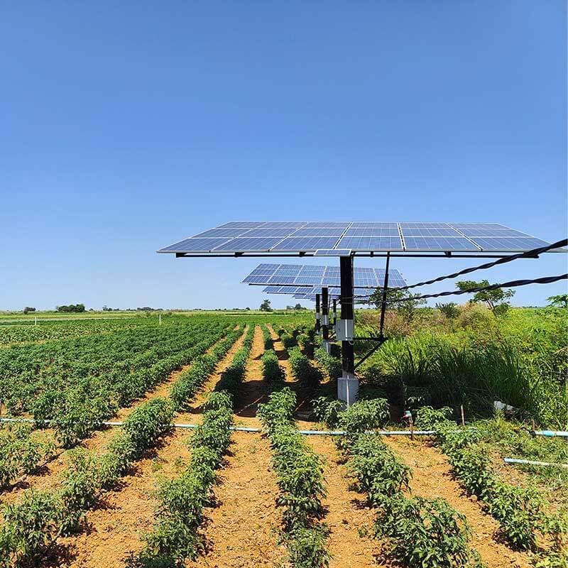 Des panneaux solaires installés dans un champ agricole