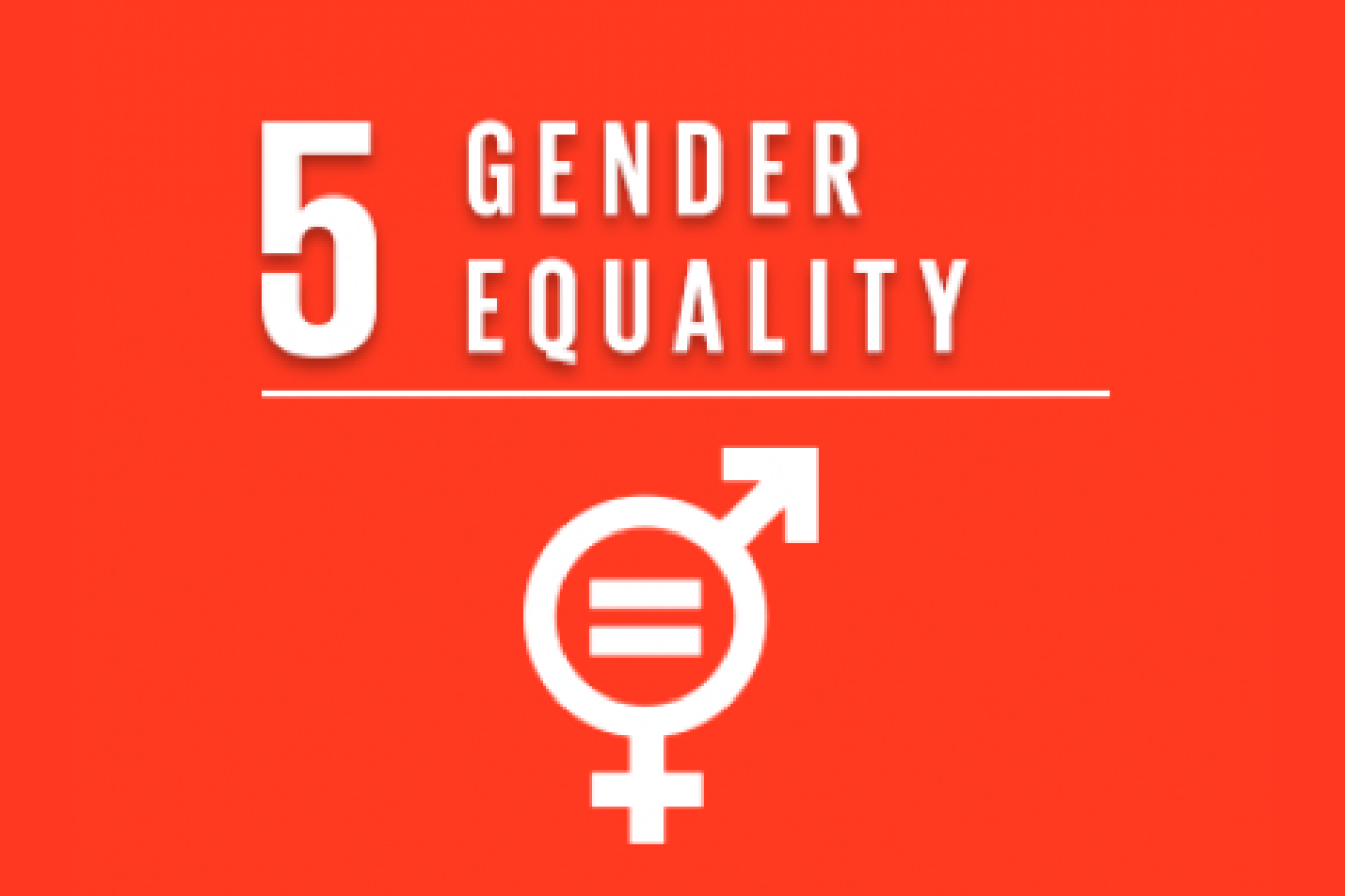 SDG 5. Gender equality goal. 5 Gender equality. Un Gender equality. Gender 1.16 5