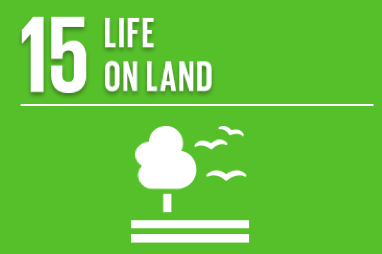 SDG 15: Life on Land