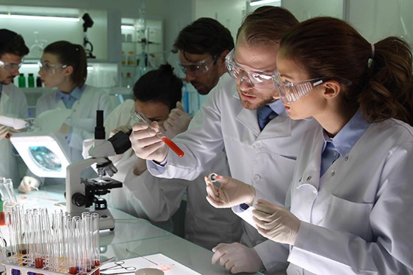 Researchers works in a laboratory 