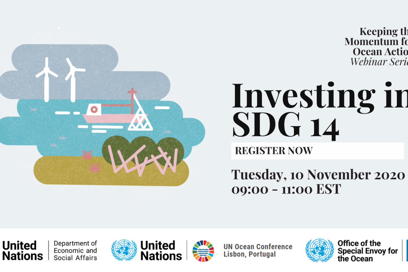 Investing in SDG 14