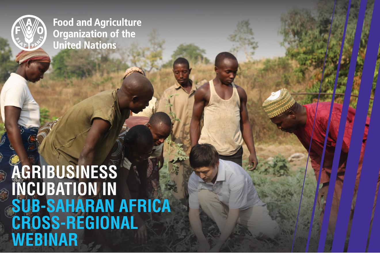 Agribusiness Incubation Cross-Regional Webinar