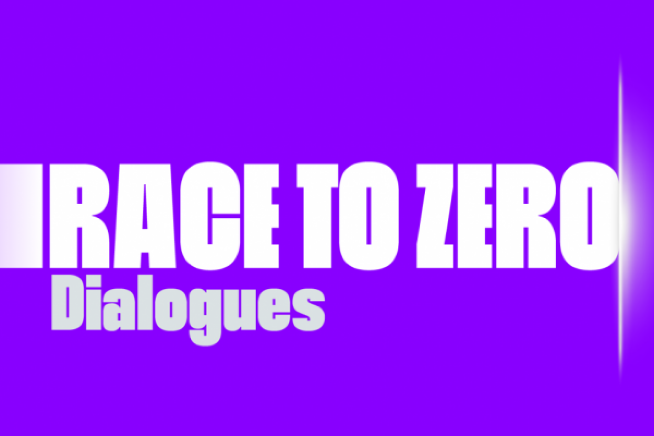 Race to Zero November Dialogues