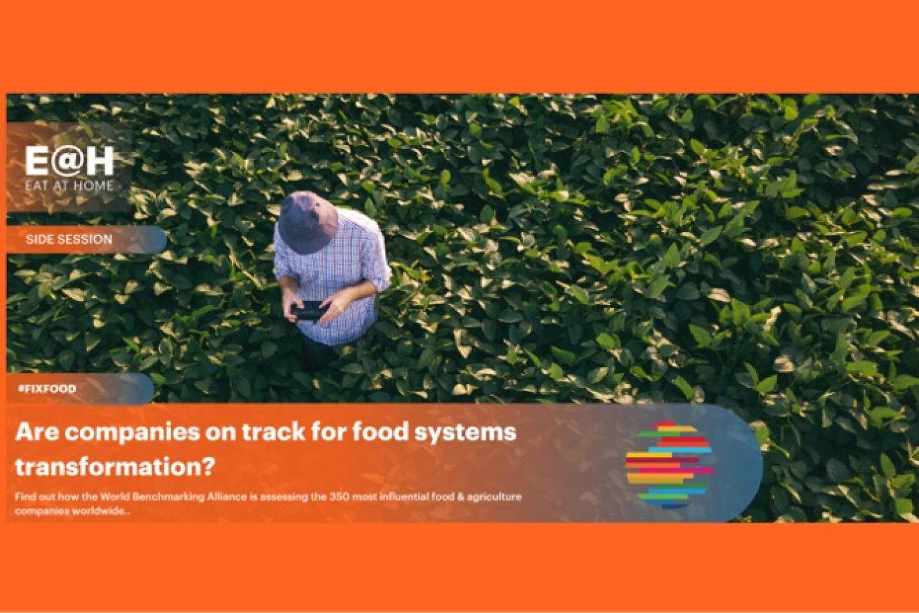 Are companies on track for food systems transformation? event cover image