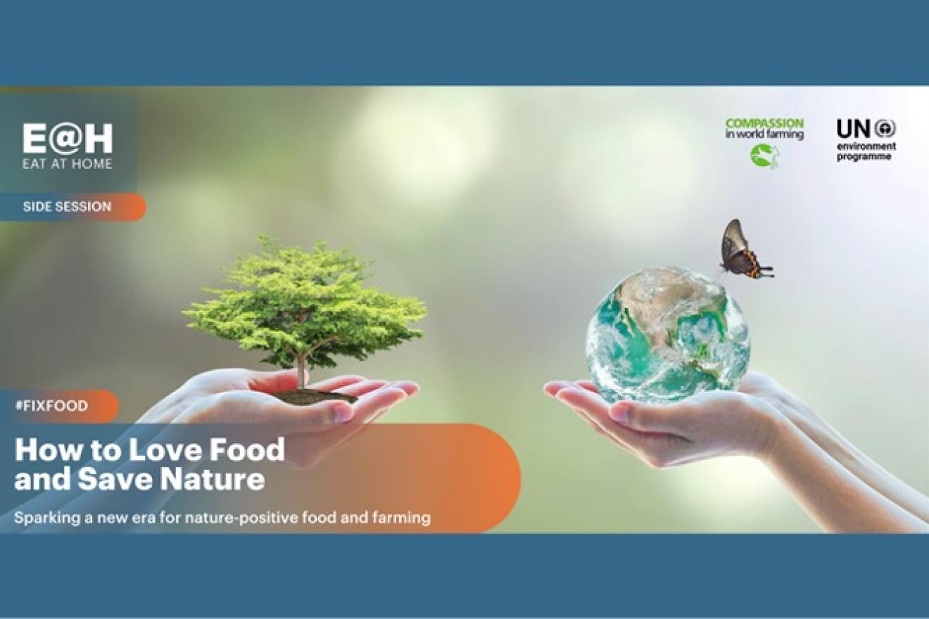 how to love food and save nature event cover image