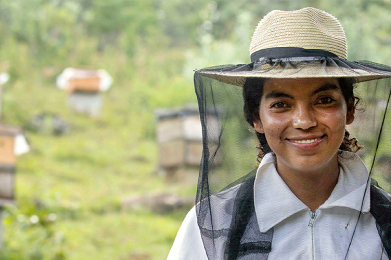 Beekeeper woman with special equipment and hives in the background. 