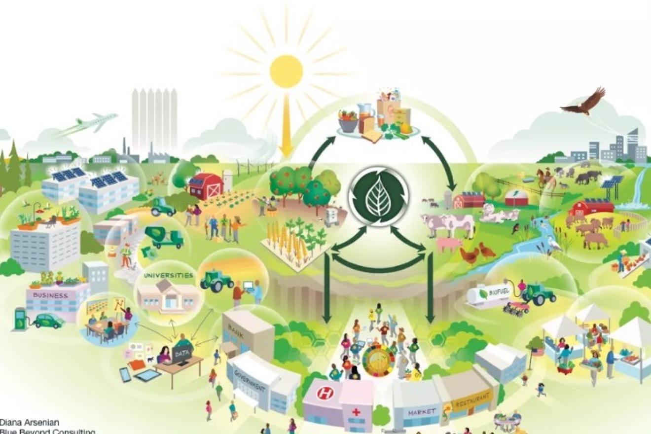 Graphic of urban and agriculture setting 